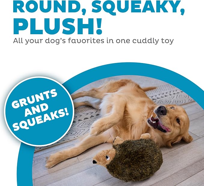 Outward Hound Hedgehogz Plush Dog Toy, Squeaks & Grunts, Large, 12" x 7" | Soft Realistic Faux Fur, Round for Rolling & Chasing, Cuddle & Carry, Interactive Fetch, Light Chewers, Dogs & Puppies