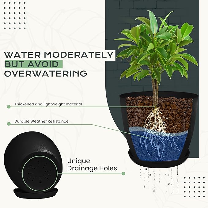 Plant Pots Indoor with Drainage, 10 Pack Multi-Size Planters Set, Black | Drainage holes included Multiple sizes 7/6.6/6/5.3/4.8 In Indoor plants and flowers Durable plastic construction