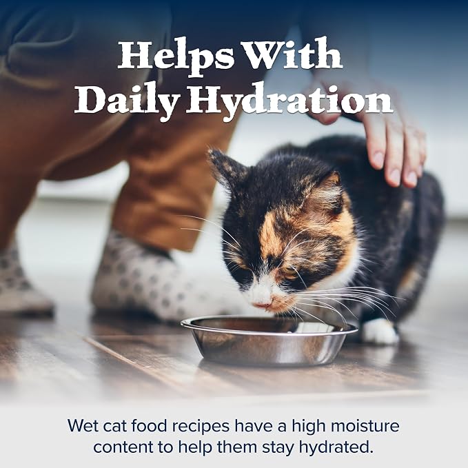 Blue Buffalo Wilderness Chicken & Trout Wet Cat Food, 3 oz, 24 ct | Wild Delights Meaty Morsels in Tasty Gravy, High Protein & Grain-Free Recipe, Made with Natural Ingredients