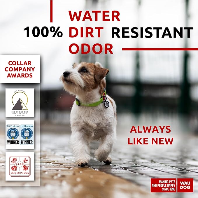 WAUDOG Waterproof Dog Collar Airtag Holder QR Tag Small Medium Large Dogs | Water and Dirt Resistant, Quick Dry QR Pet Tag Adjustable Durable Comfort for Male and Female Dogs Outdoor Walking Training