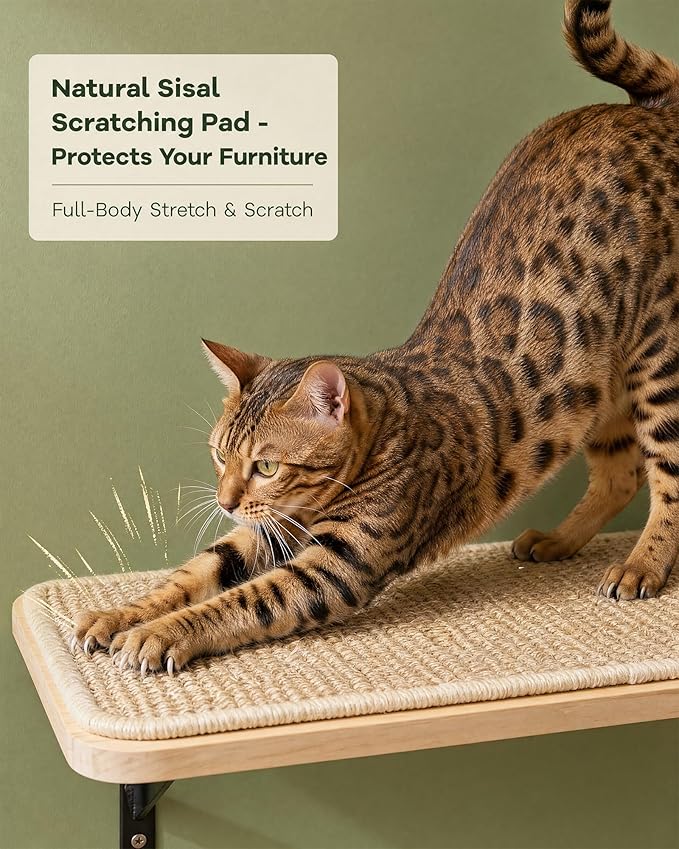2PCS Cat Wall Shelves with Scratching Mat, 16.6x9.7 Inch Solid Pine Wood Wall Mounted Kitten Floating Shelf, Window Perch Hammock, Cats Wall Furniture for Cats Sleeping, Playing, Climbing