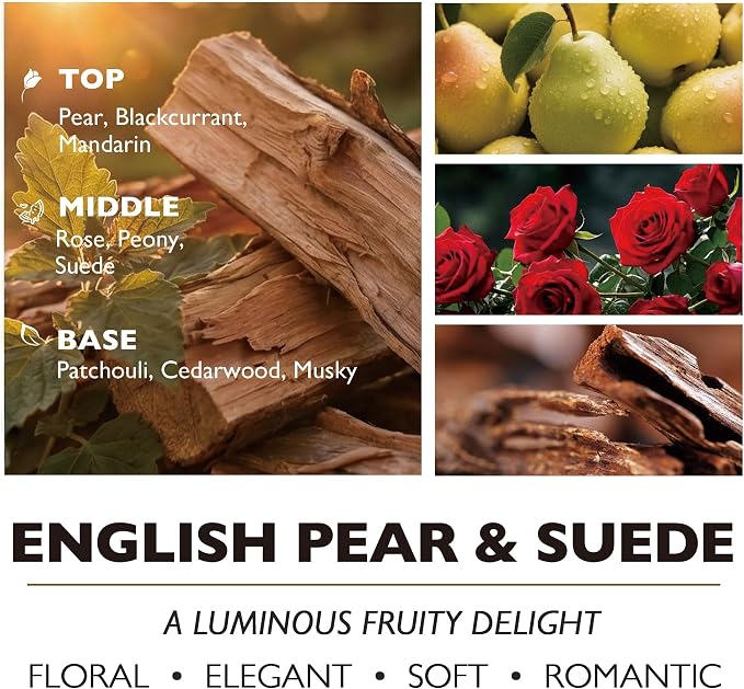 HomeLights Soy Wax Candles for Home Scented, 4-Wick Candles in English Pear & Suede Scented, Aromatherapy Candles Gift for Parties, Relaxing, Bohemian Natural Textures, 18oz
