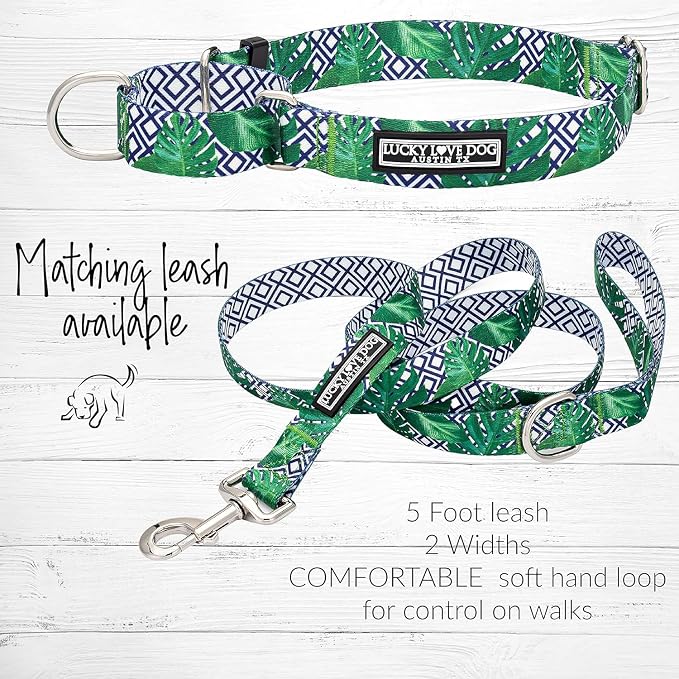 Lucky Love Dog Martingale Collar & Leash Set No Slip – Blue Laguna, Small