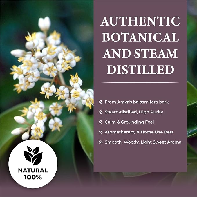 Pure Amyris Essential Oil – 100% Natural Steam-Distilled Amyris Balsamifera Oil from Haiti – Warm Woody Balsamic Aroma for Diffusers, Candles, Perfumes, Massage Blends, Skincare & Aromatherapy – 8 oz