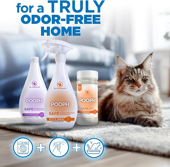 POOPH Litterizer Cat Litter Odor Eliminator Additive, 16 fl oz Bottle | Helps absorb moisture and odors to keep cat litter drier. Fragrance-free formula in a 16 oz bottle