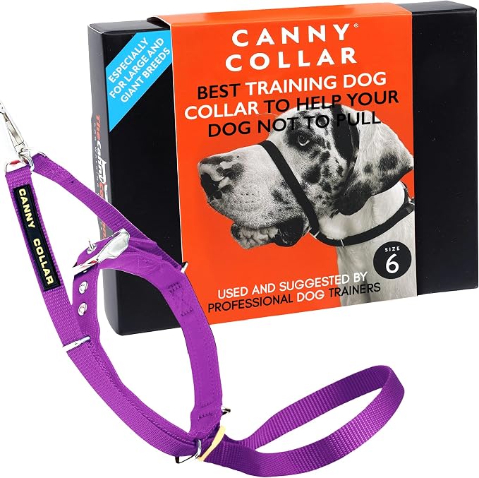 Canny Gentle No-Pull Dog Training Head Collar to Stop Pulling Purple Size 6