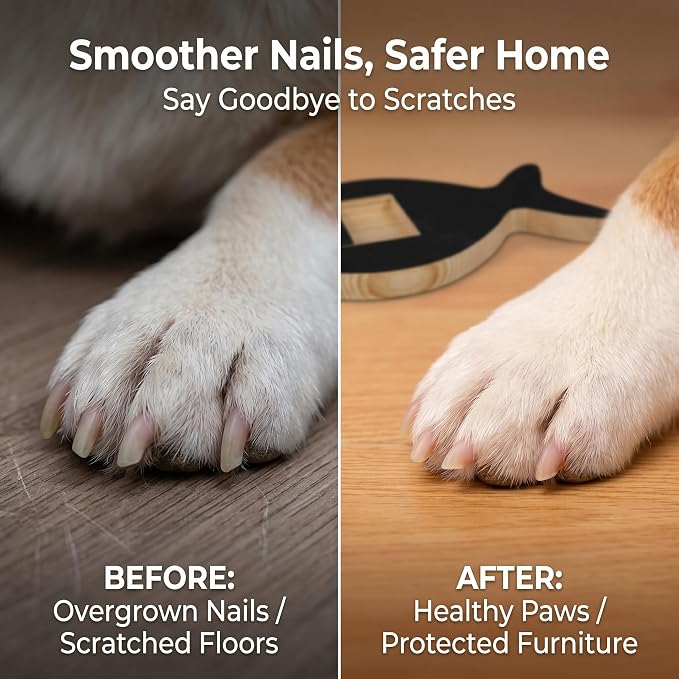 Dog Nail Scratch Board with Treat Drawer, Stress-Free Nail File for Small Medium Large Dogs, Front Paw Scratch Pad Alternative to Clippers, Replaceable Sandpaper Training Tool