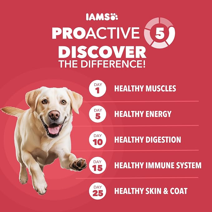 IAMS Proactive Health Large Breed Dry Dog Food, Lamb & Rice, 40 lb | Real Lamb #1 Ingredient, vet-recommended, Glucosamine & Chondroitin for bones & joints, supports strong muscles