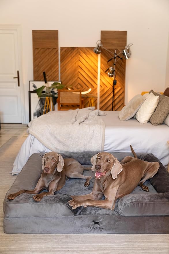 NOAH & PAW Giant Dog Bed XXL, 55x45x11 Inch, Orthopedic Dog Beds, Eggshell Memory Foam Infused with Cooling Gel, Inner Cover, Water Resistant, Machine Washable (Velvet Sofa Collection)
