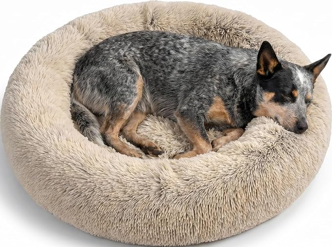 Best Friends by Sheri Original Calming Donut Dog Bed, Taupe, Medium, 30" | Machine-Washable Cover, Shag Faux Fur, Orthopedic Support, Sense of Security, Water-Resistant Base, Medium Dogs Up to 45 lbs