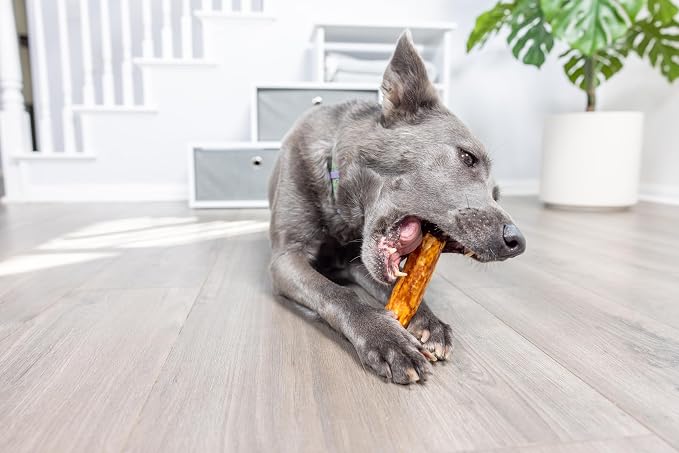 Wild Eats Salmon Flavor Collagen Cheek Roll Chews 5" 4pk Pig Ear Substitute | Long lasting treats and bones for medium dogs, retriever style texture, 4 per bag, satisfies natural gnawing urges daily