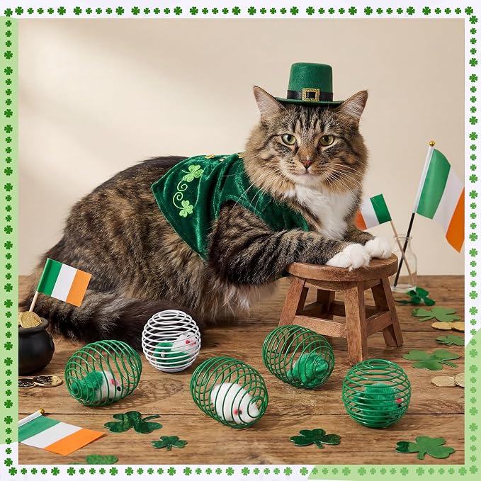 Jecery 5 Pcs Cat Toys Spring,Mouse,Green
