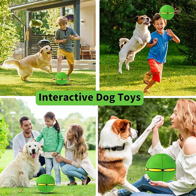Magic Bouncing Ball, Magic Meta - Ball, Children's Magic Bouncing Balls, Doggy Disc Ball, Flying Saucer Ball, Parent-Child Interaction with Lights for Indoor & Outdoor Play Green and Blue