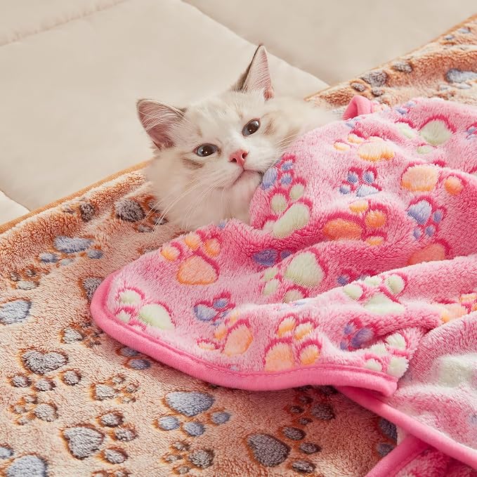 Luciphia Dog Blanket 3 Pack, Soft Cozy Fleece Throw for Puppy Cat,23"x16" | Fuzzy Flannel Small Pet Blanket Washable, Cute Paw Print for Crate Car Bed. Puppy Essential,Cat Stuff Gifts,Small