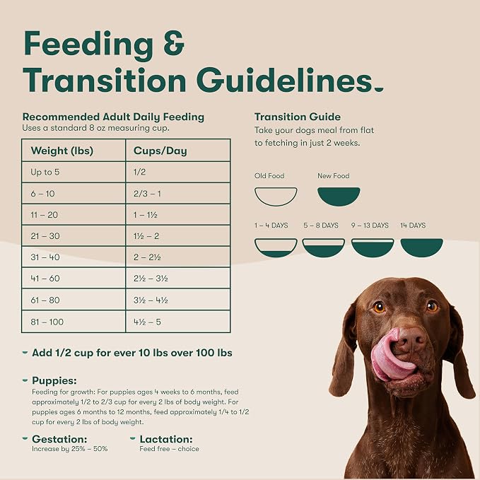 Jinx Dry Dog Food - Real Salmon, Brown Rice & Sweet Potato, 30lb | Premium Kibble for Digestive Support & Healthy Immunity - No Fillers, All Lifestages (Puppy, Adult & Senior), Breeds & Sizes
