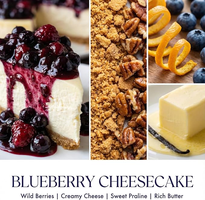 HomeLights Scented Candles for Women & Men, 6.7oz Candle Jars Aromatherapy Single Wick Candle, Ideal for Rustic Modern Home Decor and Gifts, Blueberry Cheesecake