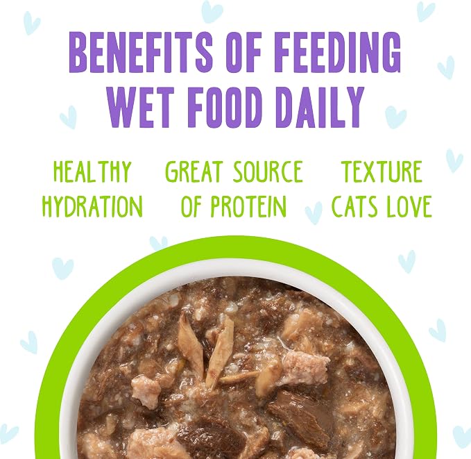 Weruva B.F.F. OMG - Best Feline Friend Oh My Gravy!, Shazaam! with Lamb & Tuna in Gravy Cat Food, 2.8oz Pouch (Pack of 12)