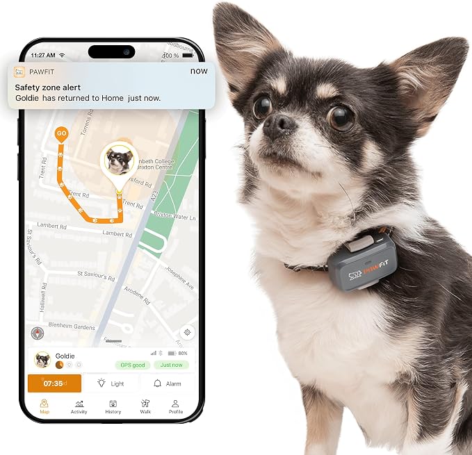 Pawfit Lite 4G GPS Dog Tracker, Live Tracking, Ultra-Light, Charcoal Grey
