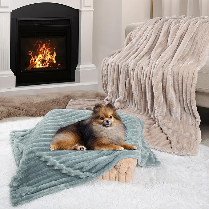 Waterproof Pet Blanket for Large Dogs & Cats - Reversible Calming Plush, Washable Furniture Cover for Couch, Bed, Car Seat, Blocks Leaks, Stains & Pet Fur (Green, 30"x40")