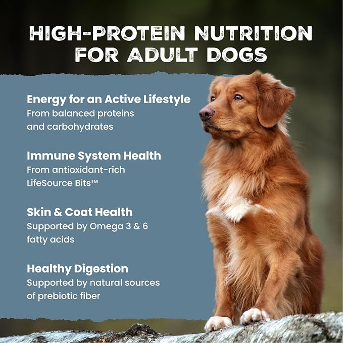 Blue Buffalo Wilderness Rocky Mountain Recipe Adult Dry Dog Food, 4.5 lb | 31g Protein, Real Beef #1 Ingredient, High Protein Red Meat with Wholesome Grains, Antioxidant-Rich Fruits & Veggies