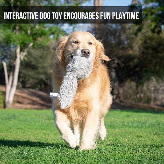 Hyper Pet Doggie Tail Interactive Plush Automatic Dog Toy, Wiggles, Barks | Durable boredom buster with batteries included, vibrating action keeps curious pups of all breeds engaged and entertained