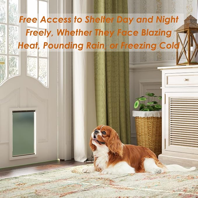 MIAOTONG Easy to Install Medium Dog Door Replacement Flap with Screws | Pet Door Replacement Flap Compatible with PetSafe Freedom PAC11-11038,Measures 13 1/8”x 24 7/8”, Weather-Proof & No Warped