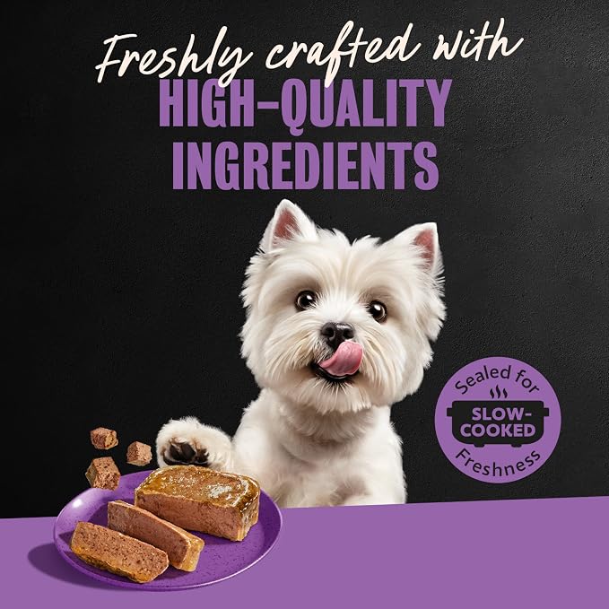 Cesar Classic Loaf Wet Dog Food, Meaty Selects, 3.5 oz, 12 Count, 2-Pack | Made in USA, Filet Mignon & Porterhouse Steak flavors, real beef #1 ingredient, no artificial flavors, easy peel trays