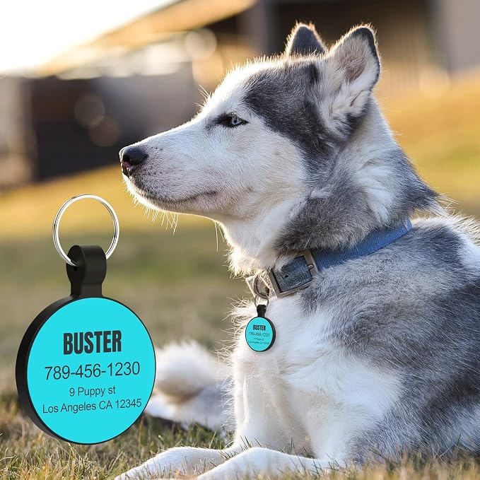 MYLUCKYTAG Silent Silicone QR Code Pet ID | Personalized Dog & Cat Collar Tag | Online Profile with Scanned Location Alert Email