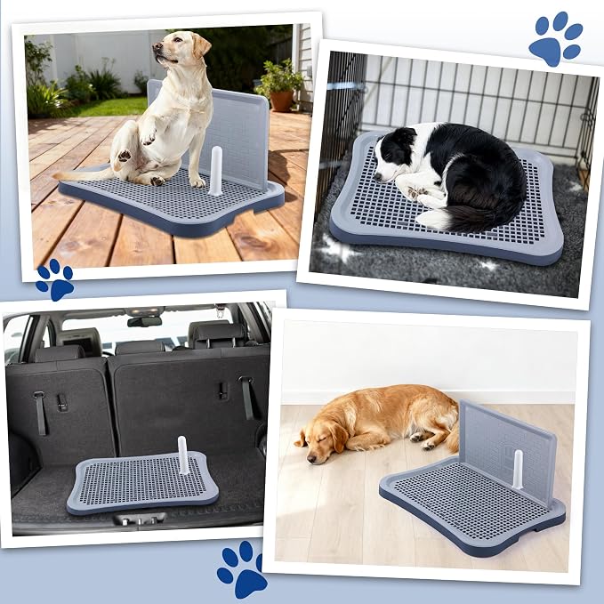 Pee Pad Holder, Indoor Potty Tray for Big and Large Size Dog with Pee Wall, Non-Skid Feet, 23.6x19.7x2 inch (Large)