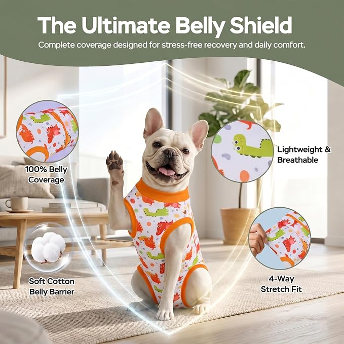 PetWarm Spay Recovery Dog, Onesies for Dogs, Professional Dog Recovery Shirt Abdominal Wounds Bandages Substitute E-Collar and Cone, Dinosaur Pattern, Yellow, XS