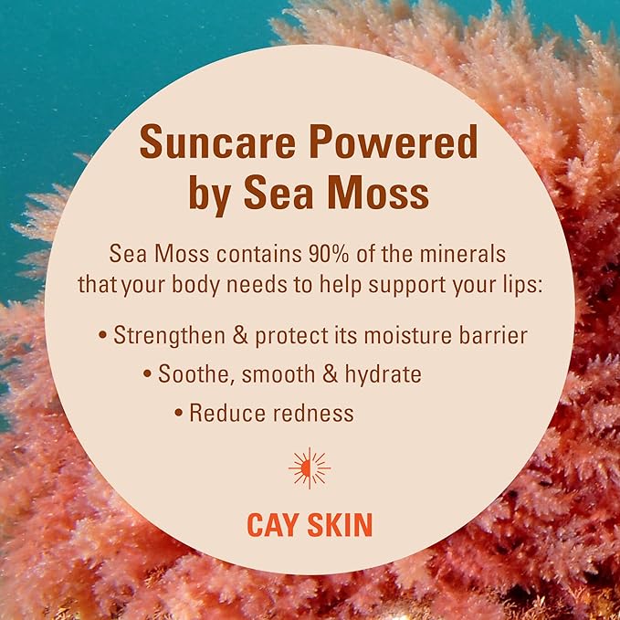 Isle Glow Lip Balm with SPF 30 (Pack of 3) - SPF Lip Balm w/Sea Moss, Aloe Stem Cells, Vitamin E & More - Vegan Lip Balm With Sunscreen - Non-Sticky & Glossy Hydrating Lip Balm for All Skin Tones