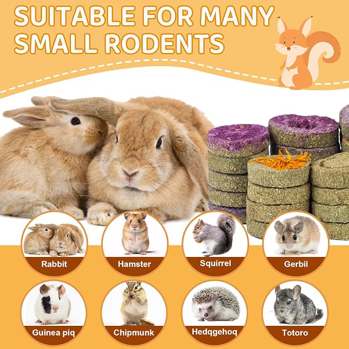 30PCS Guinea Pig Hay Grass Cake Food Set Natural Rabbit Chew Toys for Teeth