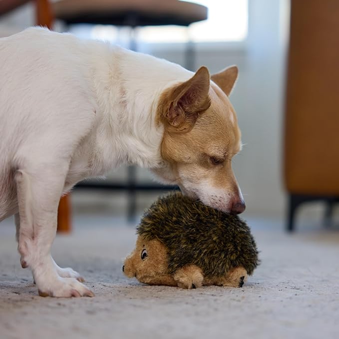 Outward Hound Hedgehogz Plush Dog Toy, Squeaks, Small, 6" x 4.5" | Soft Realistic Faux Fur, Round for Rolling & Chasing, Cuddle & Carry, Interactive Fetch, Light Chewers, Dogs & Puppies