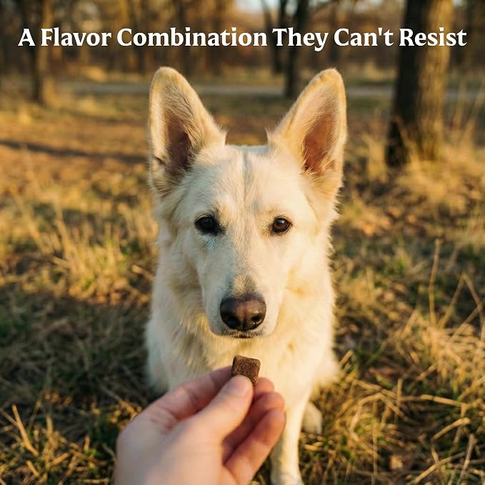 Bil-Jac PB-Nanas Soft Dog Treats with PB & Banana Flavor | 10 oz | Soft & Easy-to-Chew Treats with Real Chicken as the #1 Ingredient, Perfect for Training, Rewarding & Adding Fun to Their Day