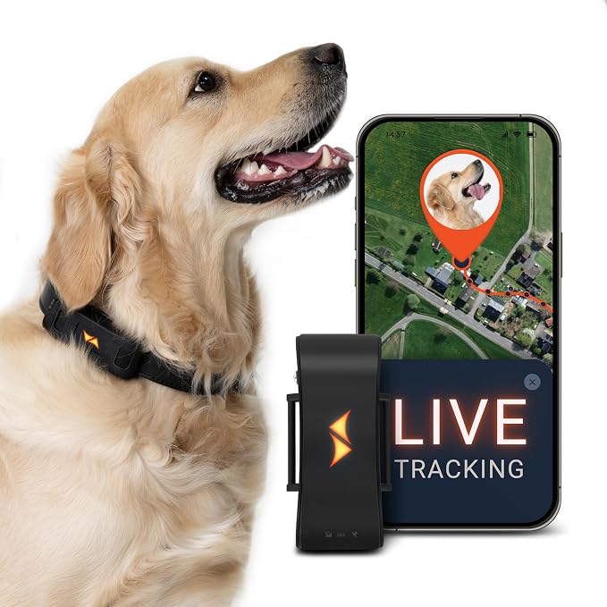 PAJ Dog GPS Tracker 3-Month Subscription Included, Real-time Pet Tracking
