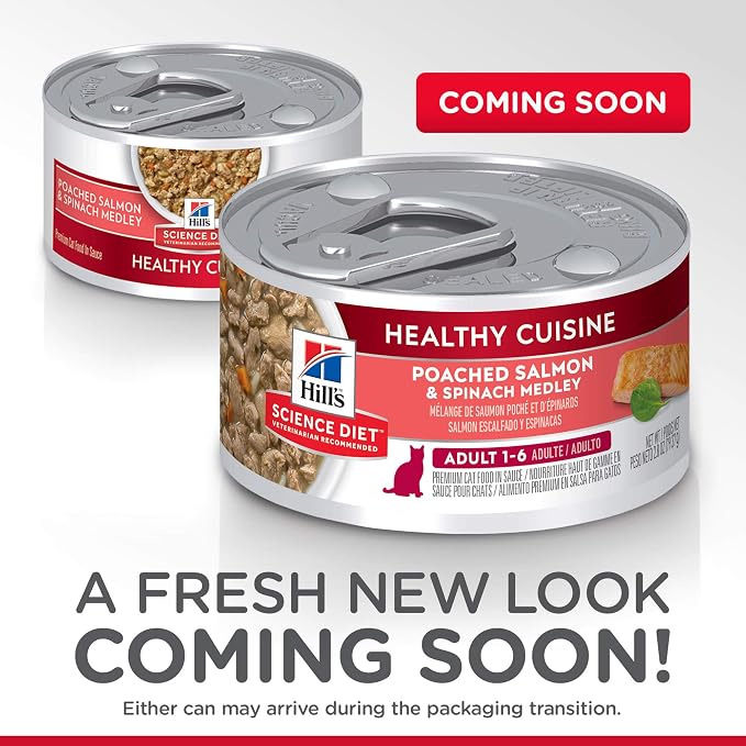 Hill's Science Diet Adult 1-6 Healthy Cuisine Wet Cat Food | #1 Veterinarian Recommended, Poached Salmon & Spinach, 2.8 oz. Cans, 24-Pack