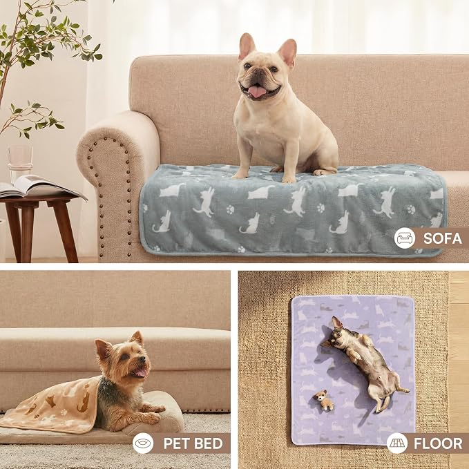 Luciphia Dog Blanket 3 Pack, Soft Cozy Fleece Throw for Puppy Cat,30"x20" | Fuzzy Flannel Small Pet Blanket Washable, Cute Paw Print for Crate Car Bed. Puppy Essential,Cat Stuff Gifts,Medium