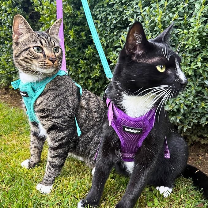 rabbitgoo Cat Harness and Leash, Easy-on with Neck Buckle, Purple
