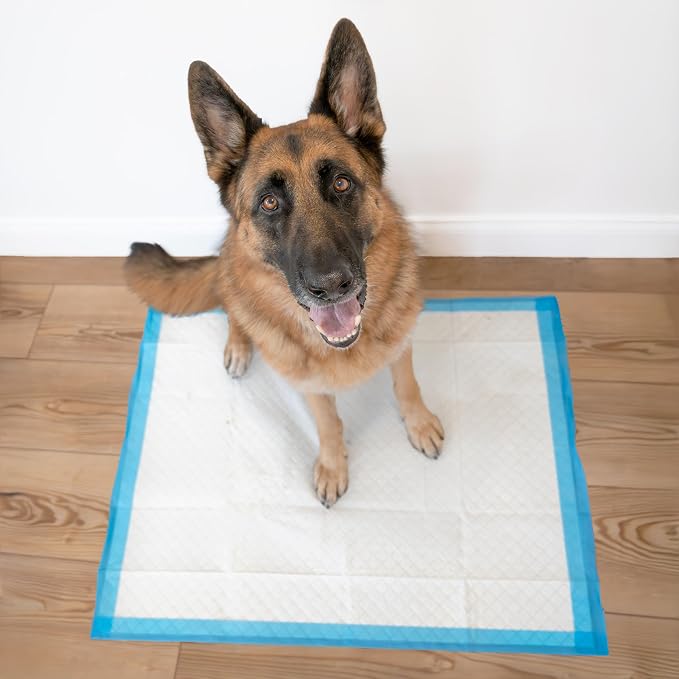 Four Paws Wee-Wee Superior Performance X-Large Dog Pee Pads, 75 Count | Puppy & dog potty training pads, housebreaking supplies, xl puppy pads, pet supplies, 24-hour floor protection, 28" x 34"