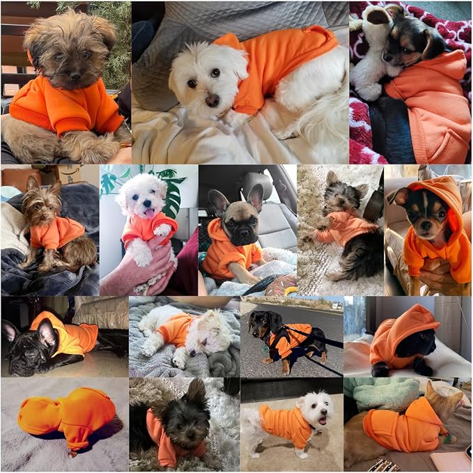 Soft Dog Hoodies for Small Dogs, Warm Fleece Puppy Clothes with Pocket | Jecikelon cold weather coat, cute puppy costume, breathable sweatshirt for dogs girl & boy, machine washable, easy on & off
