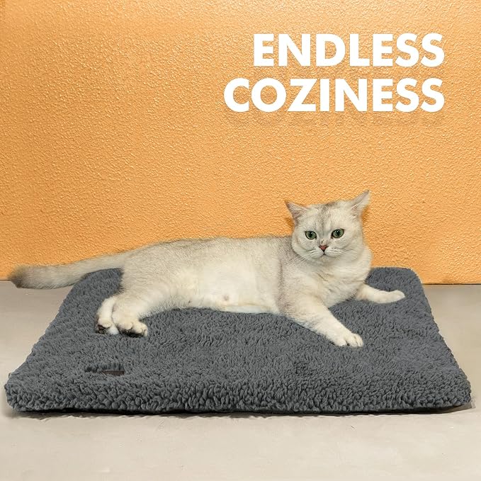 Mora Pets Self Warming Cat Bed Self Heating Cat Dog Mat Pet Pad Extra Warm | Self Heated Cat Bed for Indoor Outdoor Pet House, Removable Washable Cover, Non Slip Bottom, Crinkle-Free, No Plug, 29.1x18.9