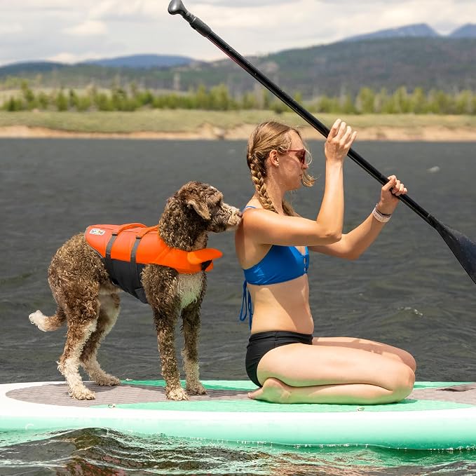 Outward Hound Granby Splash Dog Life Jacket, Life Vest, Orange, Medium | Max Buoyancy, Adjustable Fit, Head/Neck Support, Rescue Handle, Reflective, Swimming & Boating, Medium Dogs (21–27" Girth)