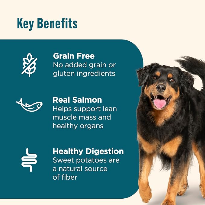 Nutrish Grain Free Salmon Dry Dog Food, 23 lb. Bag (Rachael Ray)