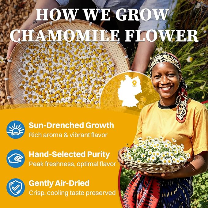 SKMTT Chamomile Tea Bags, 60 Count (2g/bag) | Premium Chamomile Flower, Herbal Tea for Relaxation, Caffeine Free & Non-GMO, No Additives