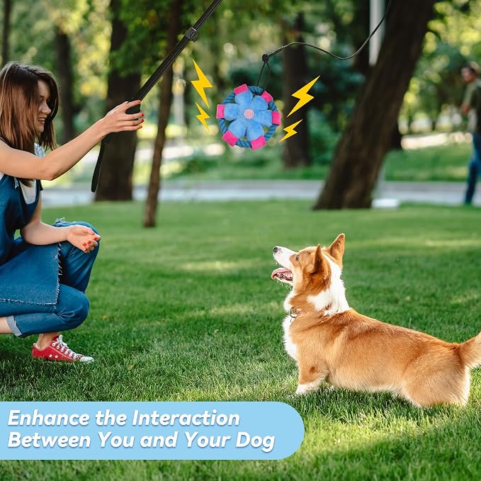 Flirt Pole for Dogs, Interactive Toys Tug-of-war for Dogs, Five-Section Retractable Adjustable Length, Chase Toys with Rope Chewing Sticks, for Outdoor Exercise & Training