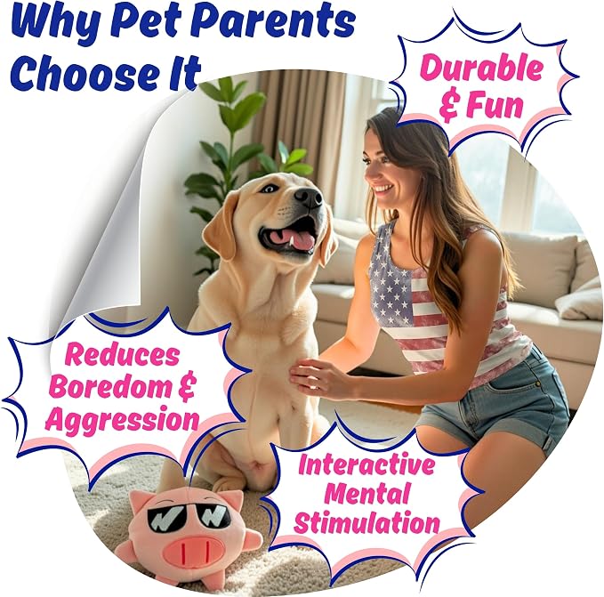 Dog Toy for Aggressive Chewers, Tough Squeaky Chew Ball, Large Breeds Gift