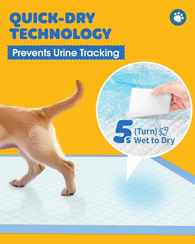 50-Pack Extra Large Pee Pads - 34" x 28" Puppy Pads for Dogs with 6-Layer Leakproof Protection, Disposable and Quick-Dry Dog Pads with High Absorbency for Easy Potty Training | Extra-Large Pee Pads, Disposable, Quick-Dry Dog Pads, High Absorbency, Wee ...