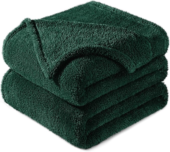 Exclusivo Mezcla Soft Plush Fleece Queen Size Blankets for Bed Living Room | Lightweight Fuzzy Fluffy Large Blanket for All Seasons, Cozy Velvet for Women Men, Machine Washable, 90"x90", Forest Green