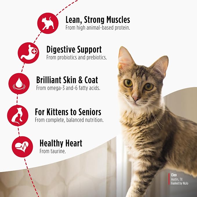 Nulo Freestyle Cat & Kitten Dry Food - Chicken & Cod Recipe, High Protein Grain Free Cat Food, Natural Kibble with Probiotics & Omega Fatty Acids, 4lb Bag