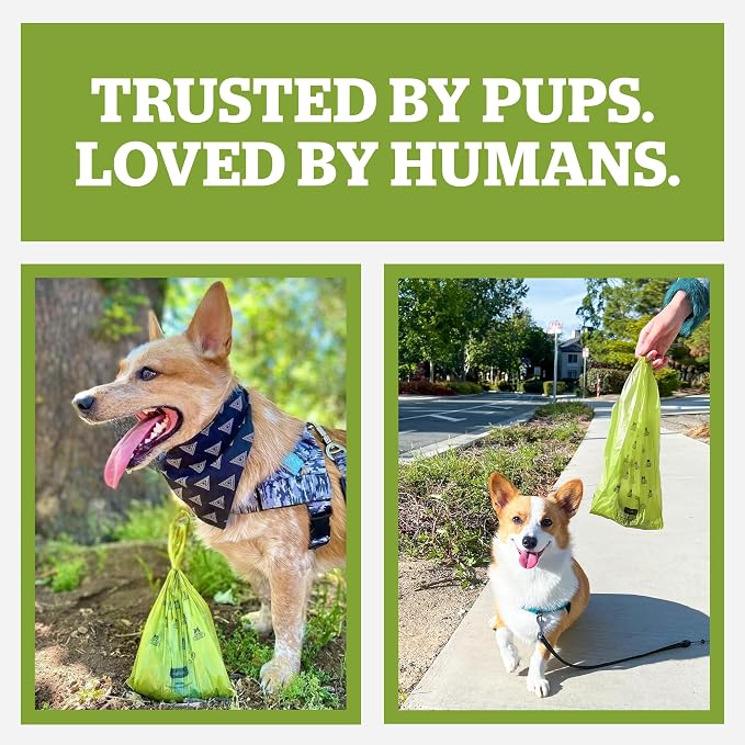 Pogi’s Dog Poop Bags with Handles – Extra-Thick, Leak-Proof, Large, Fresh Scent, 300-Count (Pack of 2)